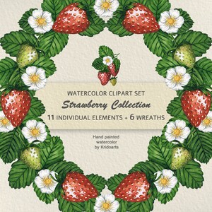 Watercolor Strawberry Clipart Set: Botanical Illustration, Wreaths and Frames (Digital Download)