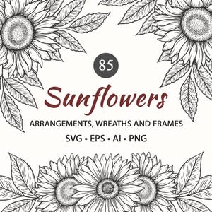 Bundle SVG tournesol, tournesols dessinés à la main, floral Line Art Clipart, bouquets de fleurs sauvages, contours de tournesols, SVG botanique, PNG tournesol