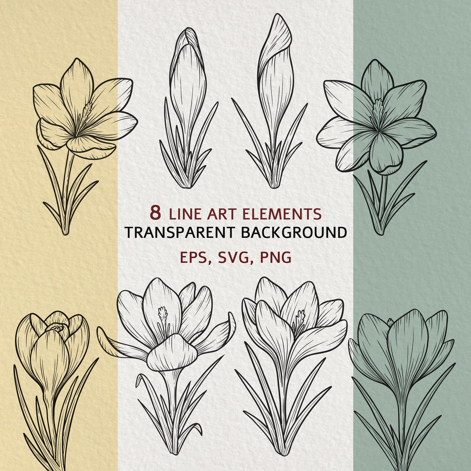 Crocus Flower Svg Clipart: Hand-drawn Floral Line Art Vector - Etsy