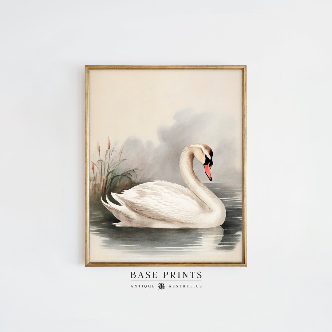 Vintage Nursery Wall Decor Antique Swan Watercolor Print Etsy