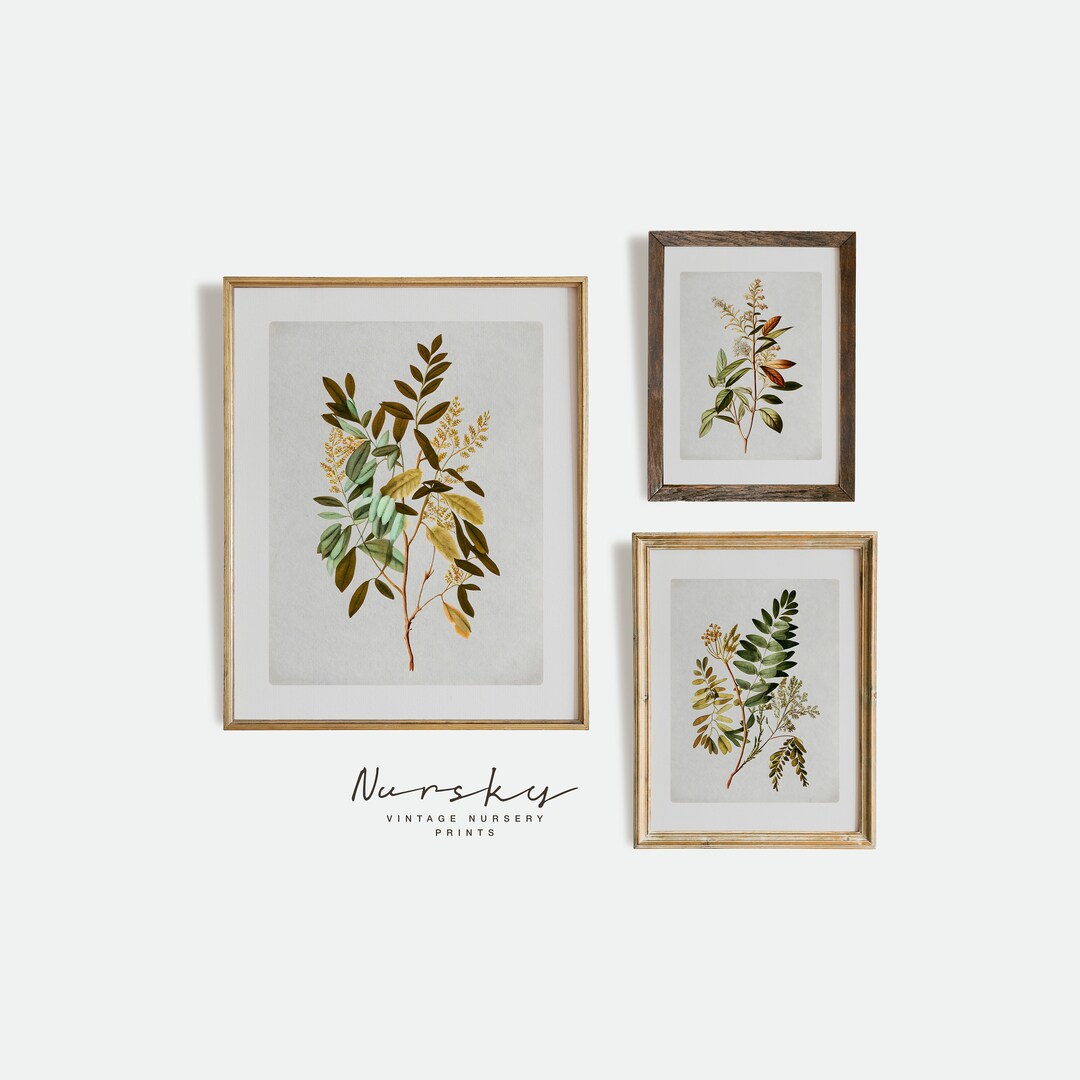 Vintage Botanical Gallery Wall Art | SET of Three Prints | Neutral ...
