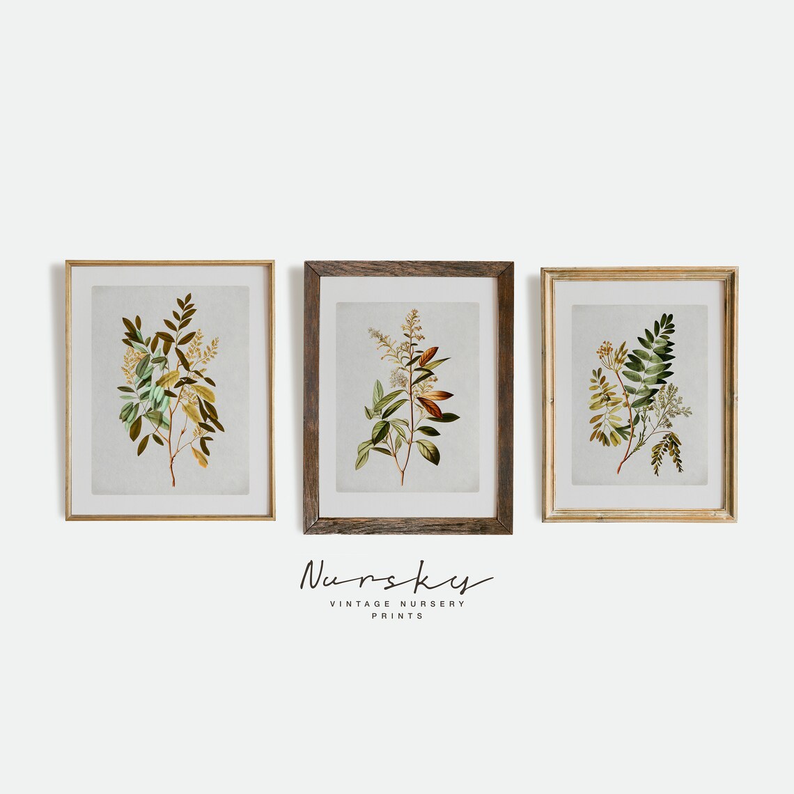 Vintage Botanical Gallery Wall Art | SET of Three Prints | Neutral ...