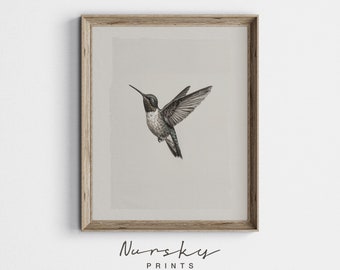 Farmhouse Hummingbird Sketch | Neutral Bird Drawing | French Country Wall Art | Minimalist Bird Lover Gift | PRINTABLE 148