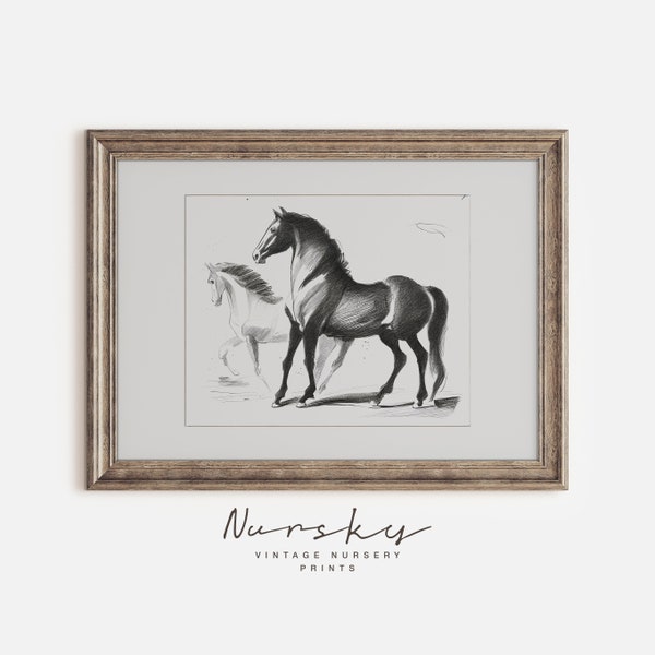 Neutral Nursery Vintage Horse Art Print, Equestrian Drawing, Antique Horse Etching, Black Horses Illustration, Animal Lover, PRINTABLE 14