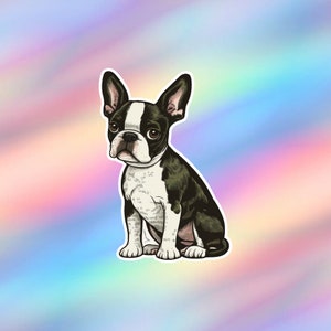 White Boston Terrier Peeking Over 6" Die Cut Decal Sticker Funny Dog