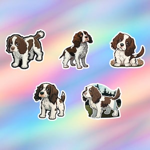 Niedliche Englisch Springer Spaniel Aufkleber 5er Pack Kawaii English Springer Spaniel Aufkleber Vinyl Laptop Aufkleber Wasserflasche Aufkleber Aufkleber