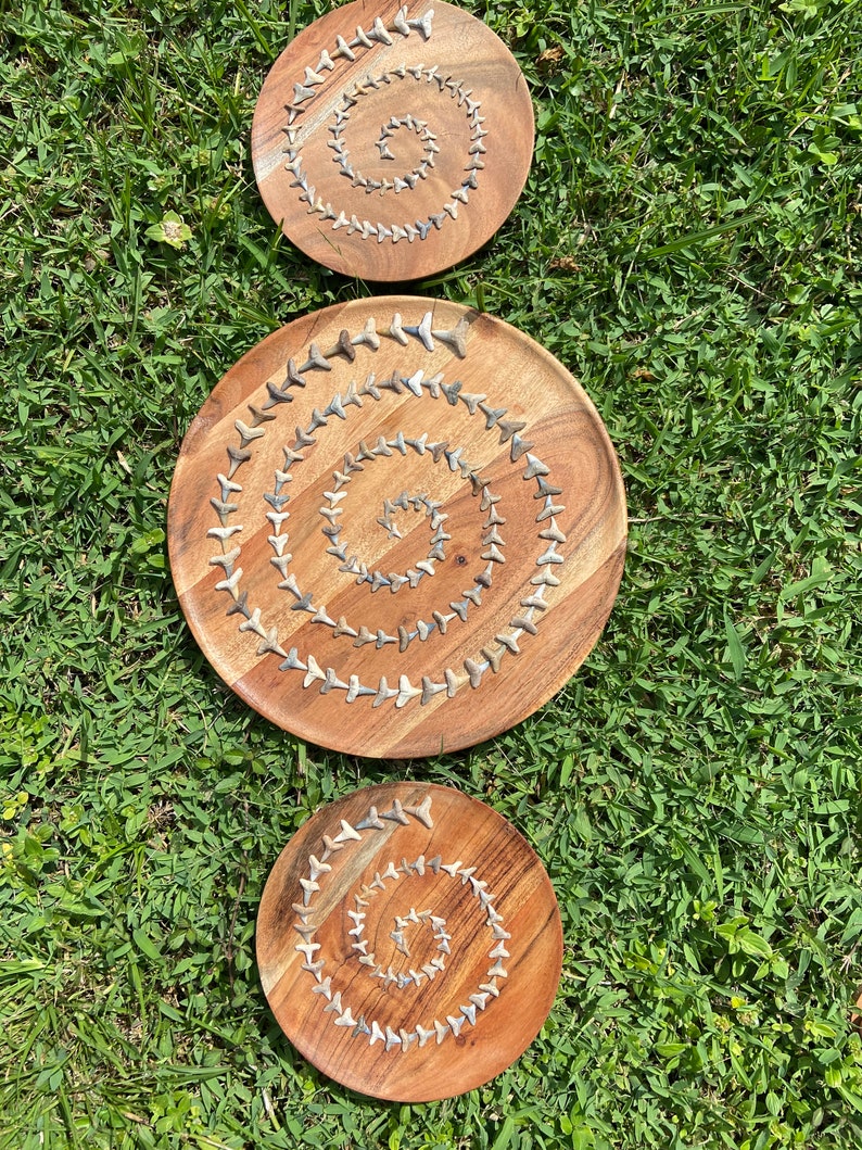 Large Spiral Shark Teeth Art - Etsy