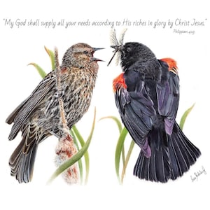 Red-Winged Blackbird Male and Femal Pair- Magnets, Cards, or Giclee Prints; Birding/ Wildlife Illustration; Blackbird Watercolor Painting