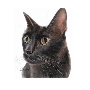 Black Cat Watercolor Painting: Prints, Magnets, or Greeting Cards