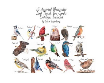 THANK YOU Cards; 16 Bird Watercolor Painting Prints, Blank Inside; 4.25 x5.5" Thank You Cards Pack with Envelopes Included for All Occasions