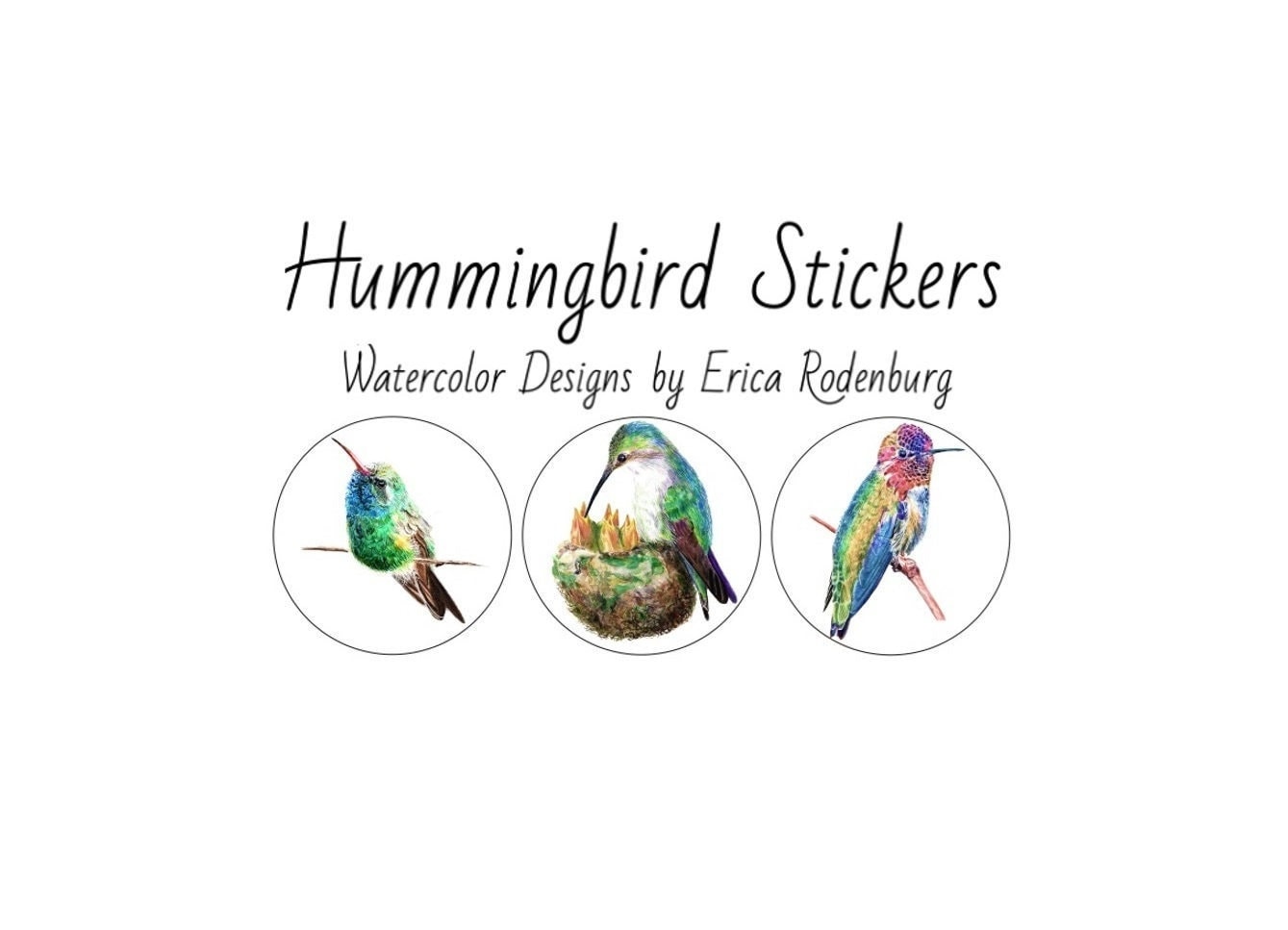 3-inch Bulk Watercolor Hummingbird Stickers: 3 Designs in a Hummingbird ...