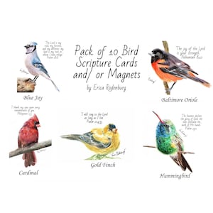 May include: A set of 10 bird-themed scripture cards or magnets. Each card features a watercolor painting of a different bird, such as a blue jay, cardinal, goldfinch, and hummingbird, along with a scripture verse. The cards are titled "Pack of 10 Bird Scripture Cards and/or Magnets" and "by Erica Rodenburg".