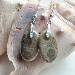 Premium Colored Petoskey Stone Earrings with Sterling Silver Hooks