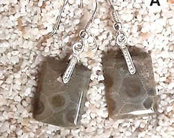 Pendientes rectangulares de piedra Petoskey hechos a mano con plata de ley