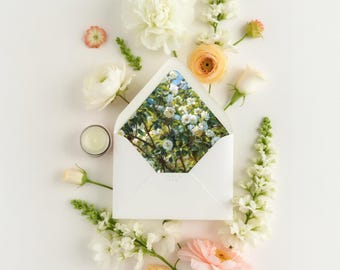 Sjabloon envelopvoering witte rozen: vintage bloemenbruiloft (pdf-download, A7-euroklep)