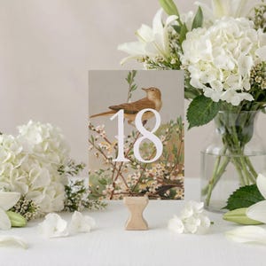 Puede incluir: Una tarjeta con el número de mesa que presenta una ilustración vintage de un pájaro y el número 18 en blanco. La tarjeta está sujeta por un pequeño soporte de madera. La escena está enmarcada por flores blancas y follaje. El diseño es elegante y clásico.