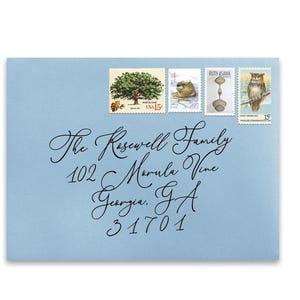 Könnte beinhalten: Ein hellblaues Kuvert mit handschriftlichen Adressdetails und Briefmarken. Die Briefmarken zeigen Bilder eines Baumes, eines Eichhörnchens, abstrakter Formen und einer Eule. Der Text auf dem Umschlag lautet "The Roswell Family, 102 Marula Vine, Georgia, GA 31701."