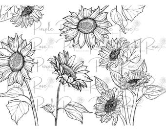 Sunflower Tumbler Wrap PNG for Laser Engraving