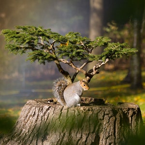 Écureuil sur un tronc d'arbre | Impression d'art