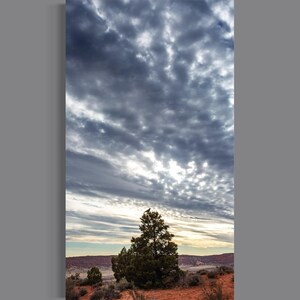 Arches National Park Sky with Bird, Utah Desert Landscape, Dramatic Cloudscape Wall Art