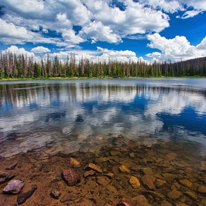 May include: A scenic landscape featuring a calm lake reflecting a bright blue sky dotted with fluffy white clouds. The foreground shows a rocky lakebed, while a forest lines the far shore. A mountain is visible on the right.