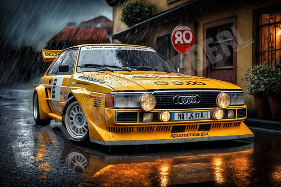 5 Audi Quattro 80s Rallying High Quality Digital Images Printable Poster  Mural 