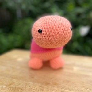 Turtle Plushie