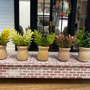 Medium Dollhouse plant