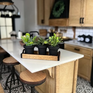 Dollhouse plants in tray