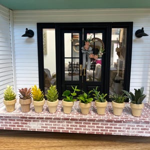 Medium Dollhouse plant