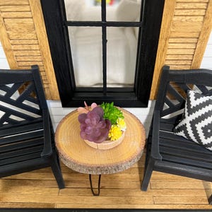 Dollhouse succulent arrangement