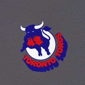 TORONTO TOROS 1970's WHA Throwback Hockey Jersey Customized Any
