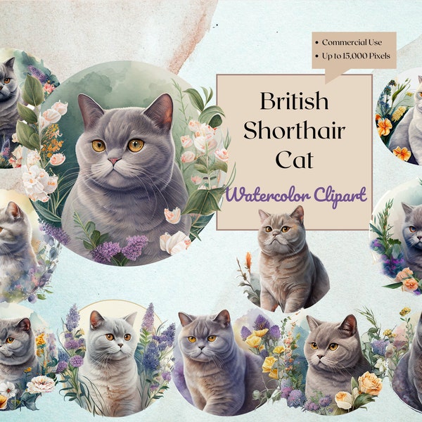 British shorthair cat Clipart | Watercolor | PNG Digital Downloads for Card Making, Scrapbook, Paper Crafts , Wall art, planner, logo,print