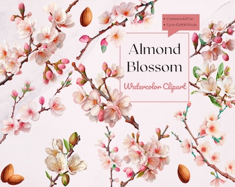 Almond Blossom Clipart / Acuarela / PNG Descargas digitales para hacer tarjetas, invitaciones, manualidades de papel, arte de pared, planificador, logotipo, impresión. arte