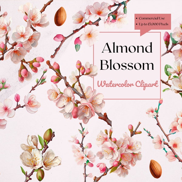 Almond Blossom Clipart | Watercolor | PNG Digital Downloads for Card Making, Invitation, Paper Crafts , Wall art, planner, logo,print. art