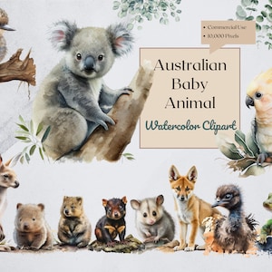 Australian Baby Animal Clipart | Watercolor | PNG Digital Downloads for Card Making, Scrapbook, Paper Crafts , Wall art, planner, logo,print