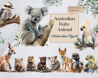 May include: Watercolour clipart featuring Australian baby animals, including a koala, kangaroo, wombat, echidna, possum, dingo, emu, and a cockatoo. The animals are depicted in a cute and whimsical style, with soft colours and delicate details.