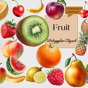 Früchte Clipart | Aquarell | PNG digitale Downloads für Kartenherstellung, Scrapbook, Papierhandwerk, Wandkunst, Planer, Logo, Druck