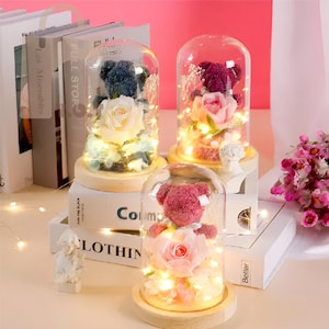 Regalo especial para el día de San Valentín: oso de musgo eterno, rosa, oso de memoria, rosas preservadas, base de lámpara decorativa, regalo de mesita de noche para su aniversario