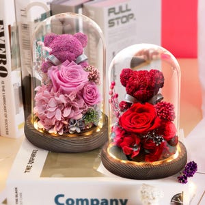 Regalo especial para el día de San Valentín, rosa eterna, oso de memoria, rosas preservadas, base de lámpara decorativa, luz de noche para mesita de noche, regalo para su aniversario