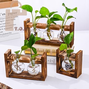 Holzrahmen Hydrokultur Glasvase Vermehrungsstation Blumenständer Pflanzengeschenke für Pflanzenliebhaber Pflanzenzubehör Wohnkultur
