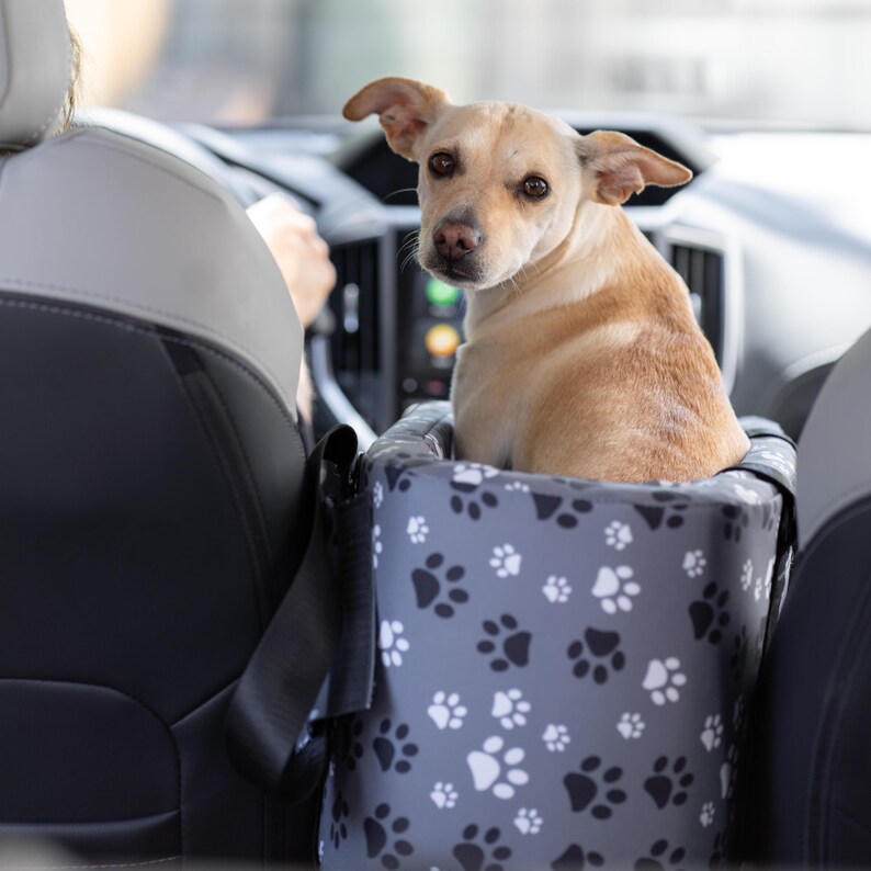 Center Console Dog Car Seat Pet Car Seat Perfect Small Dog Car Seat