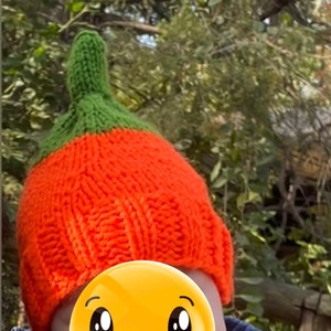 Pumpkin Knit Hat Baby, Toddler, Teen, Adult Fall Hat Halloween Costume Hat Beanie Skull Cap