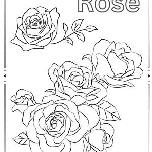 Rose Coloring Page