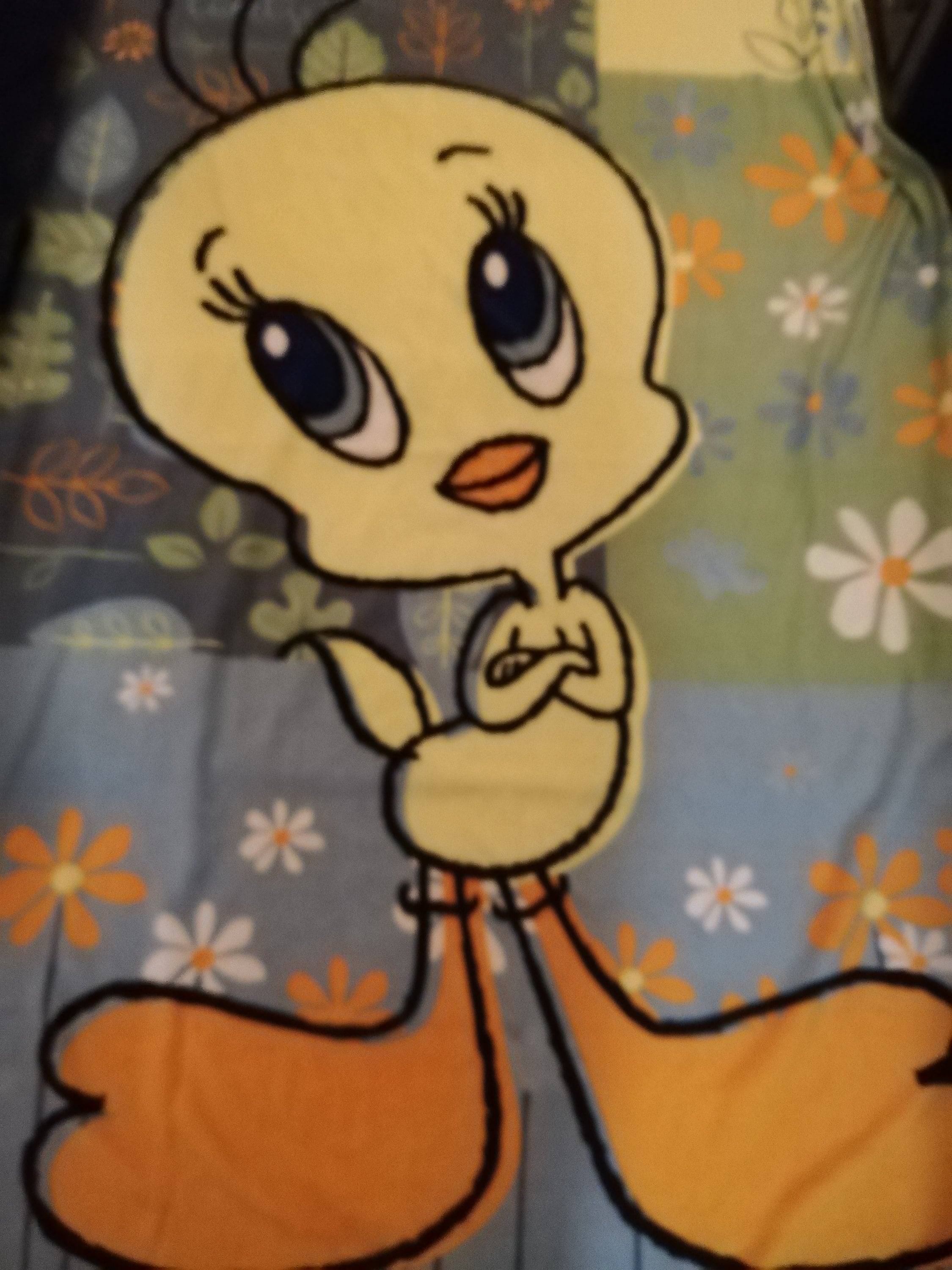 Vintage Tweety Bird Blanket - Etsy