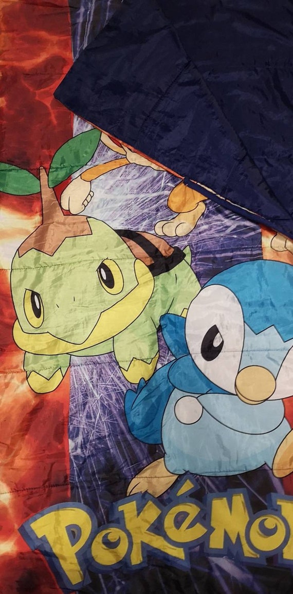 Vintage pokemon blanket hotsell