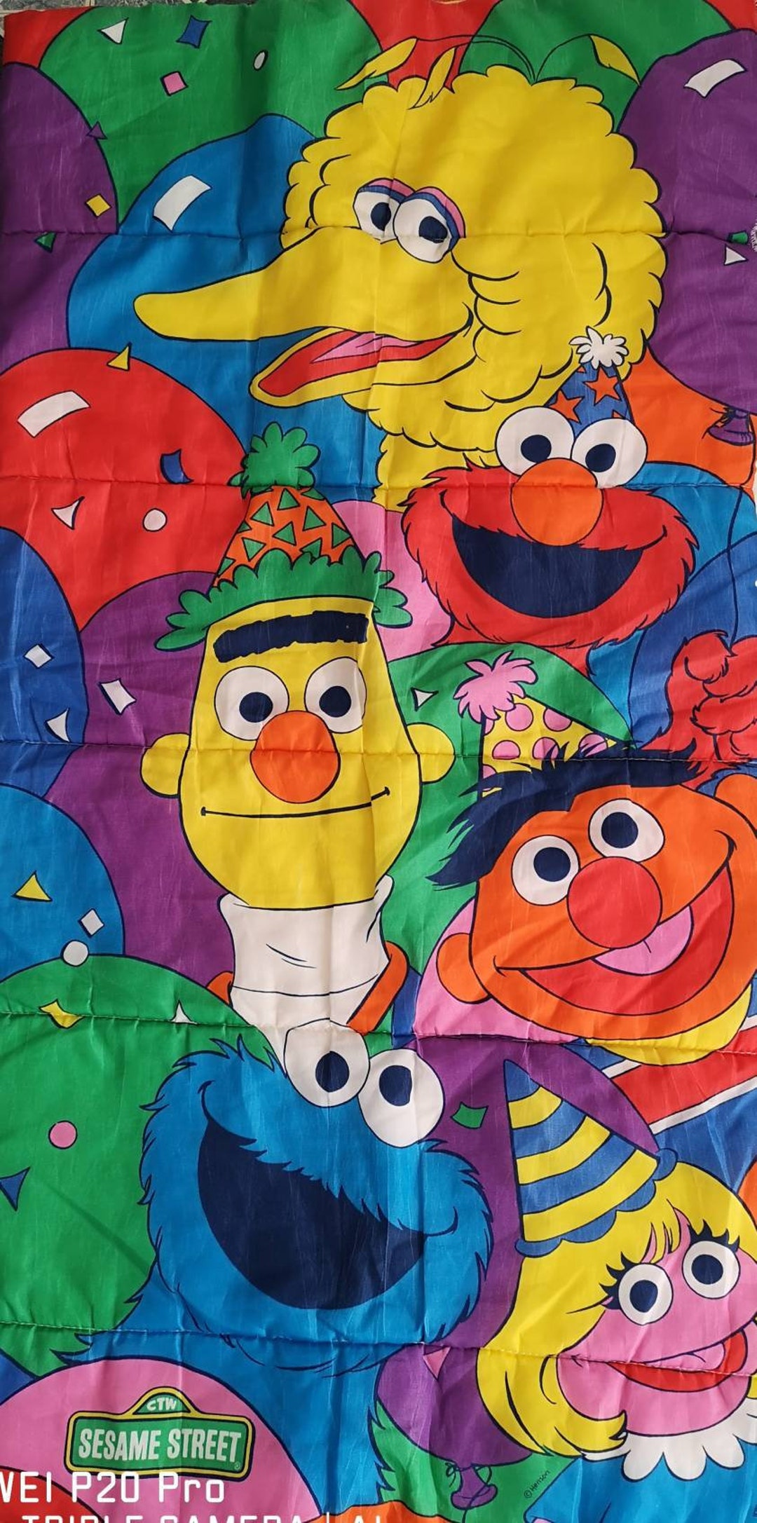 Vintage RARE Sesame Street Sleeping Bag 54 X 28 - Etsy