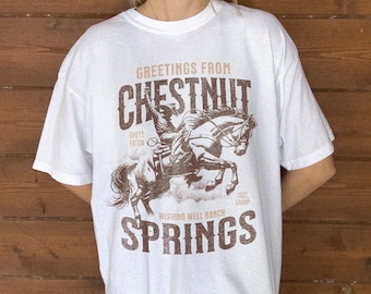 Chestnut Springs Wishing Well Ranch Shirt Rodeo Reader Gift Shirt Elsie Silver Bookish Shirt Country Romance Reader Cowboy Cowgirl Reader