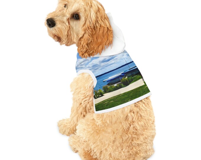 Kaleidoscope Dragonfly Pet Dog Hoodie
