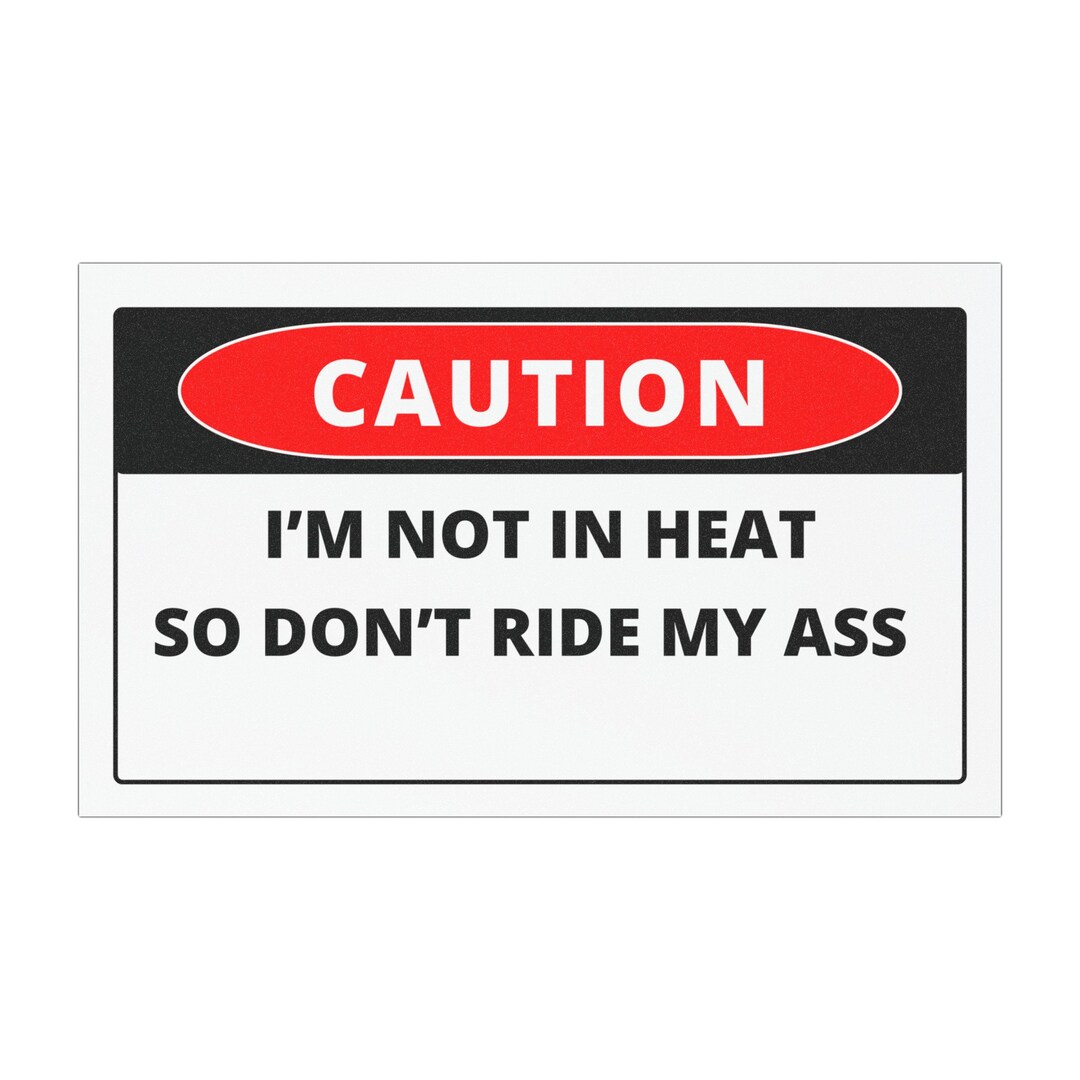 Car Magnets Don't Ride - Etsy